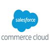salesforce_commerce_cloud-logo-100